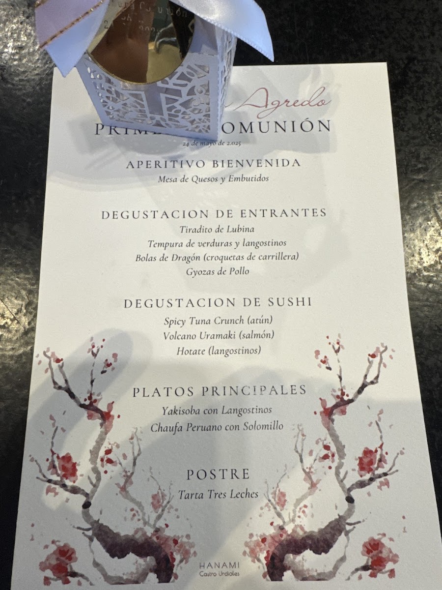 Menu Restaurante Hanami Castro-2